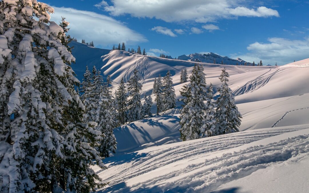 Best Snowcat Skiing In Steamboat Springs » Powdercat Skiing Nirvana:…