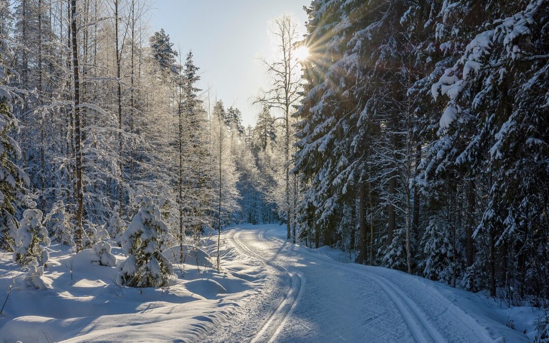 Best Time For Snowcat Skiing In Steamboat / Uncover The…