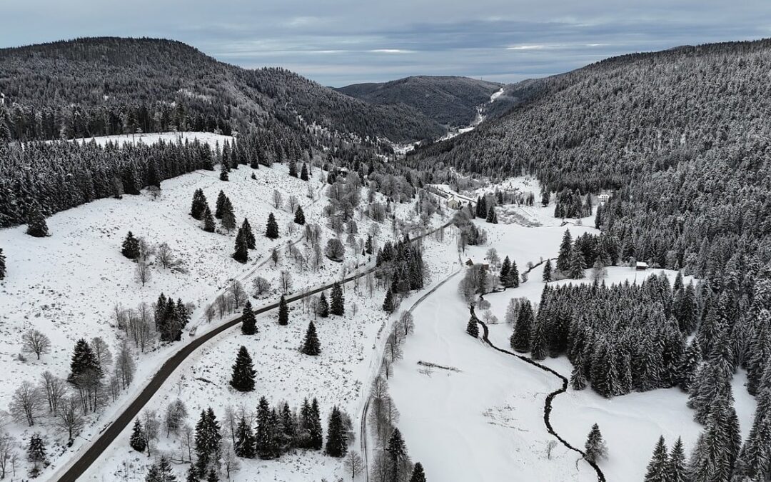 Eco-friendly Snowcat Tours Steamboat Springs: Discover Eco-Friendly Snowcat Adventures In…