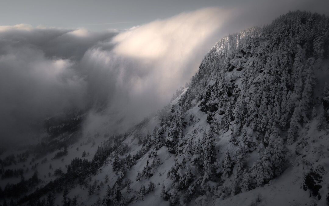 Eco-friendly Snowcat Tours Steamboat Springs ~ Unveil The Pristine Winter…