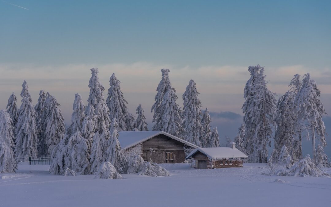 Group Snowcat Tours Steamboat Springs | Escape To Winter Wonderland:…