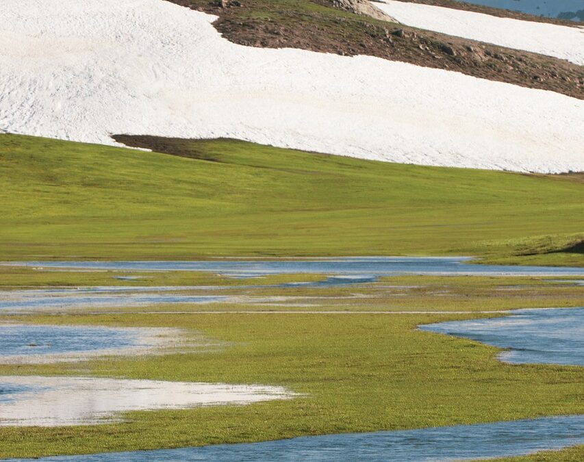 Historical Snowcat Tours Steamboat: Experience History And Adventure With Steamboat…