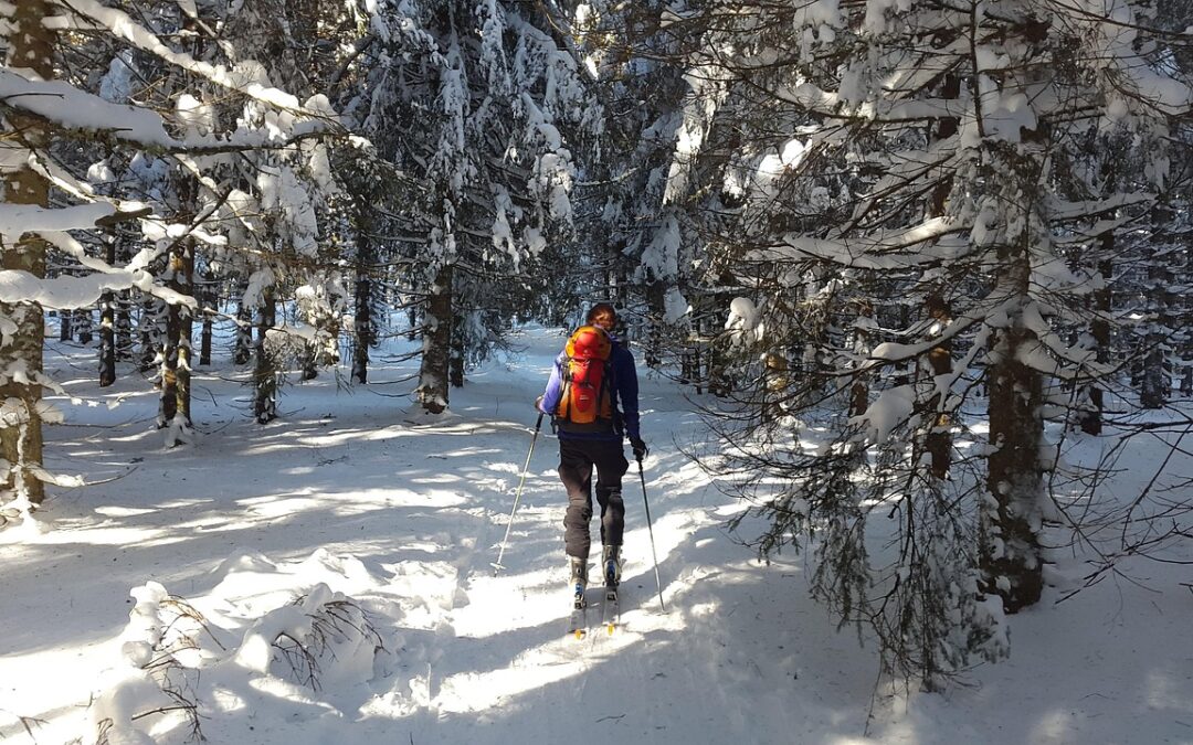 Snowcat Skiing Buffalo Pass Steamboat / Discover Steamboat Springs: A…