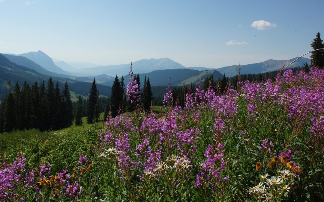 Snowcat Skiing Colorado Rockies / Snowcat Skiing In The Untamed…