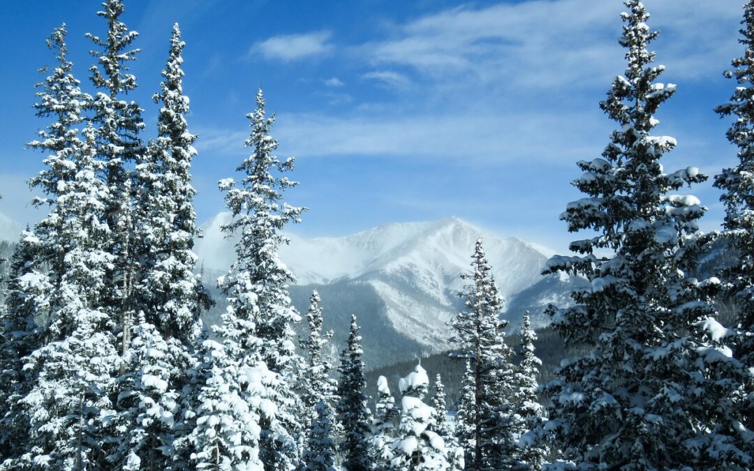 Snowcat Skiing Colorado: Embark On An Unforgettable Snowcat Skiing Adventure…