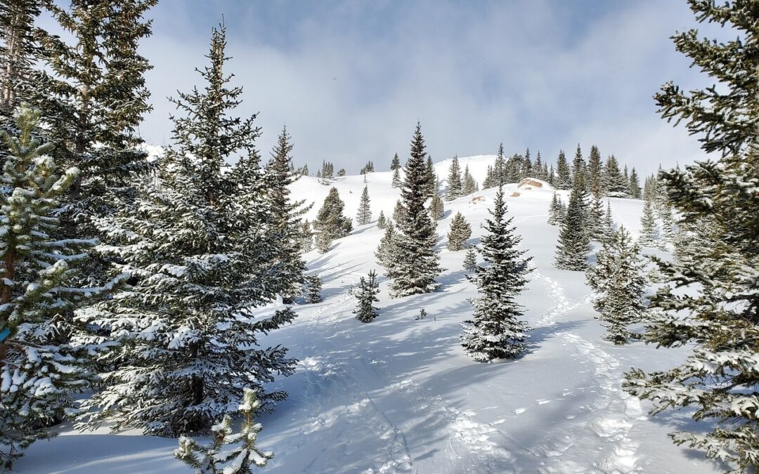 Snowcat Skiing Colorado ~ Embark On An Unparalleled Snowcat Skiing…