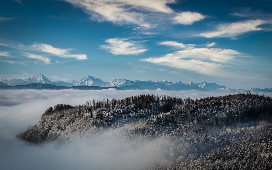 Snowcat Skiing Steamboat Springs Photos | Escape To The Powder-Filled…