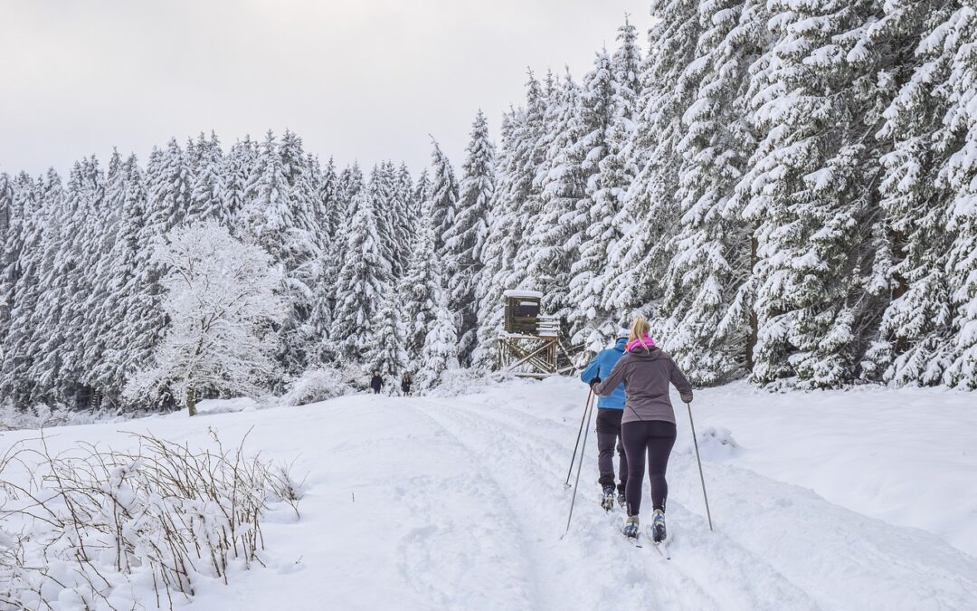 Snowcat Skiing Near Steamboat Springs | Snowcat Nirvana: Unveil The…