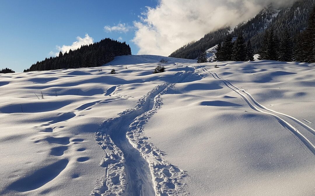 Steamboat Powdercats Backcountry Tours: Embark On An Epic Winter Adventure…