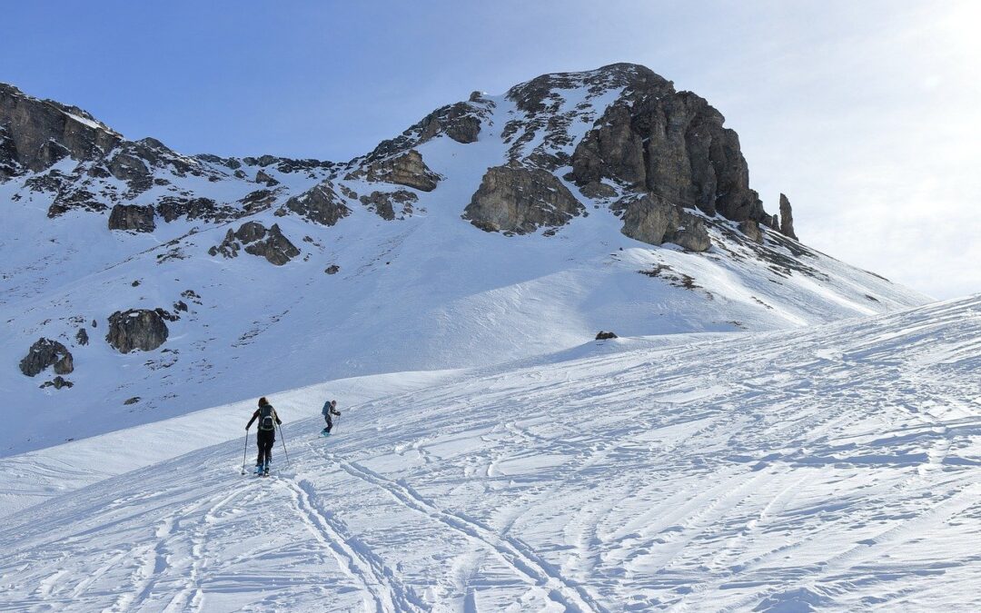 Steamboat Powdercats Backcountry Tours » Embark On An Unforgettable Winter…