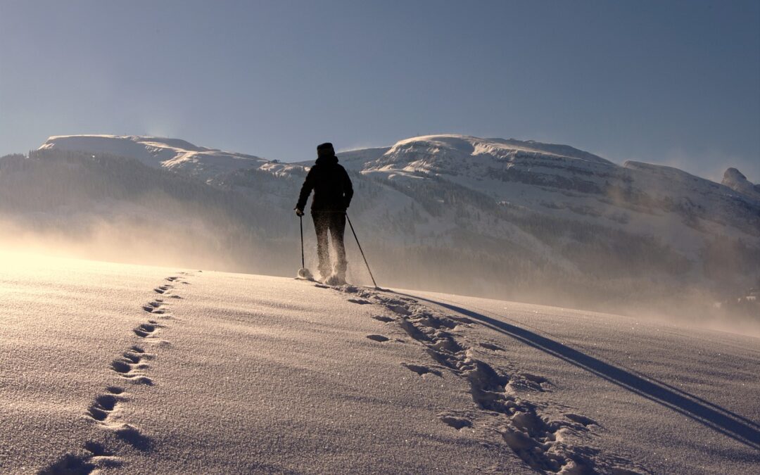 Steamboat Powdercats Booking | Unveil The Winter Wonderland With Steamboat…