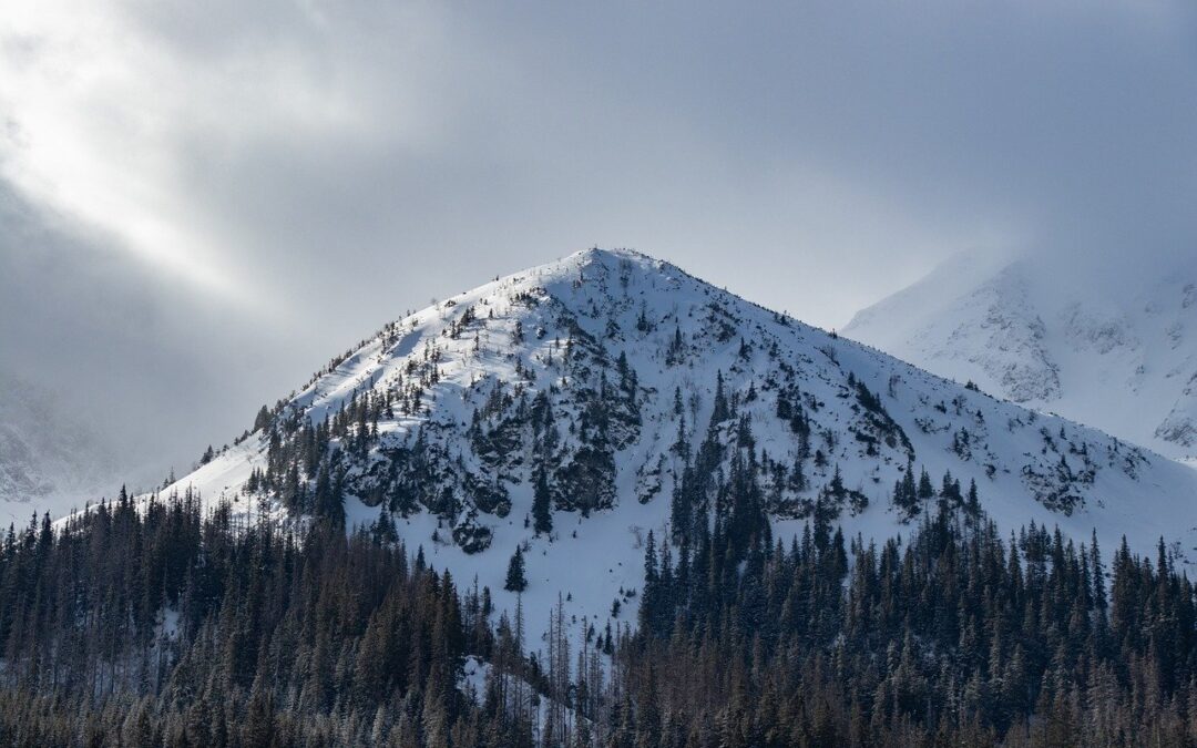 Steamboat Powdercats Customer Service » Embark On An Unforgettable Adventure…