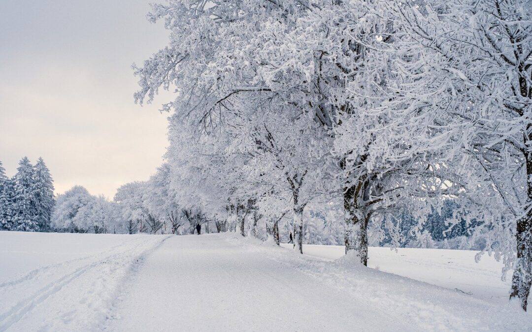 Steamboat Powdercats Guide – Embark On An Unforgettable Winter Adventure…