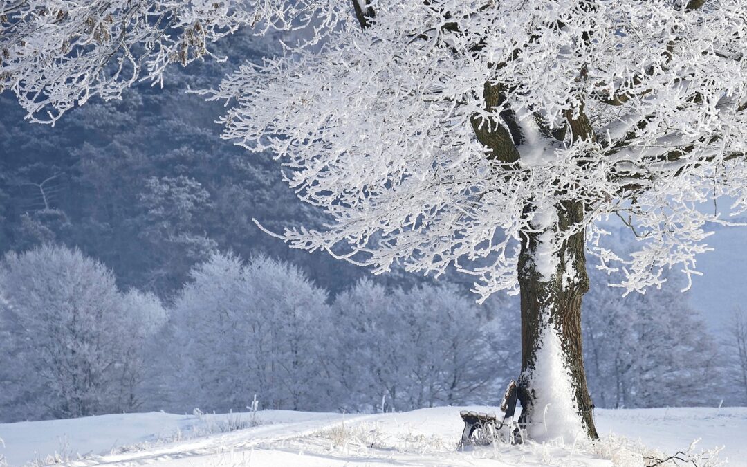 Steamboat Powdercats Itinerary – Powder Paradise: An Unforgettable Winter Adventure…