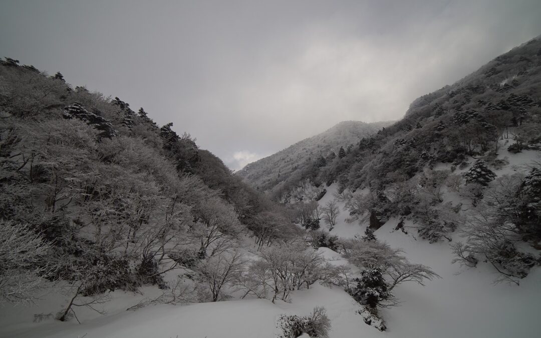 Steamboat Powdercats Itinerary » Unleash Your Winter Adventure: A Guide…