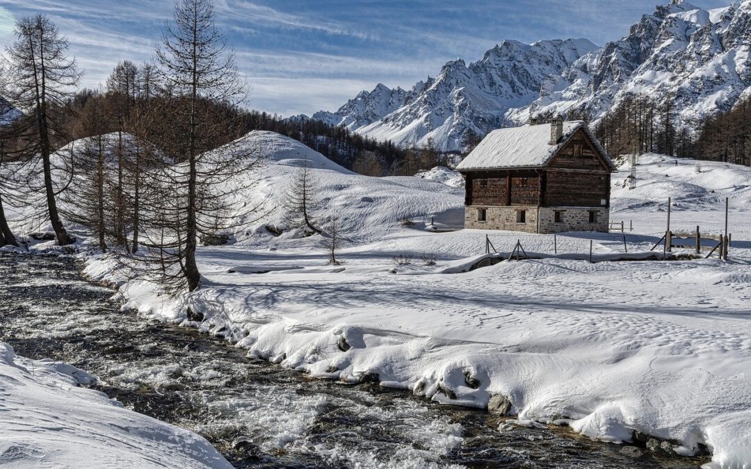 Steamboat Powdercats Packages: Embark On An Epic Powder Adventure With…