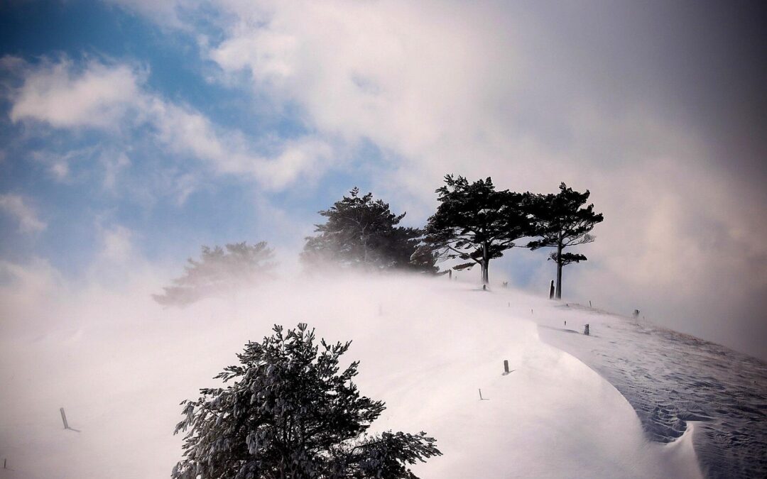 Steamboat Powdercats Packages | Unleash The Thrill: Steamboat Powdercats For…