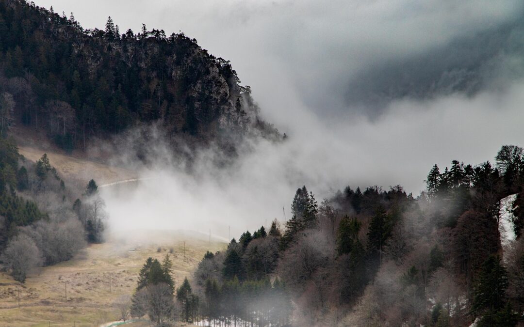 Steamboat Snowcats Blog » Unveil The Winter Wonderland: Snowcat Adventures…