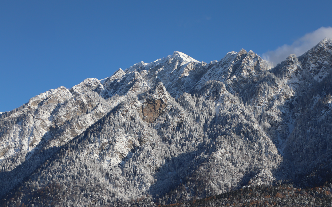 Steamboat Snowcats Safety Tips / Unveil The Thrills And Embrace…