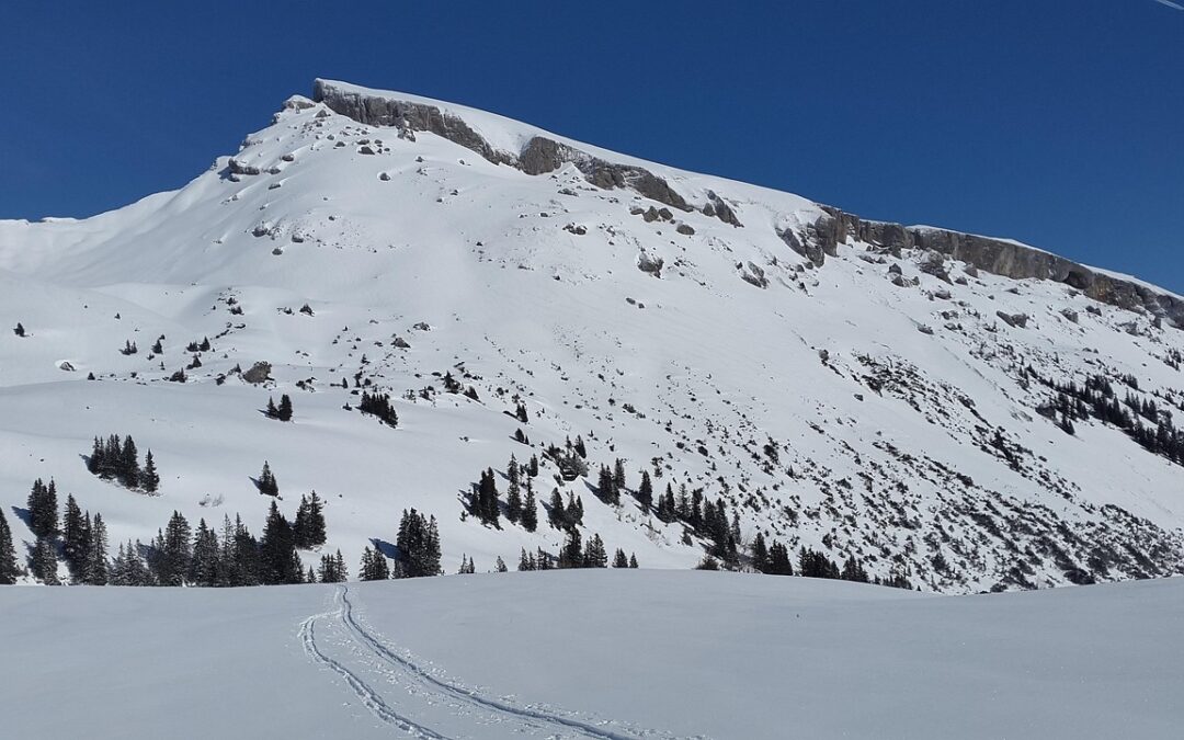 Steamboat Springs Backcountry Snowcat Adventures – Embark On An Unforgettable…