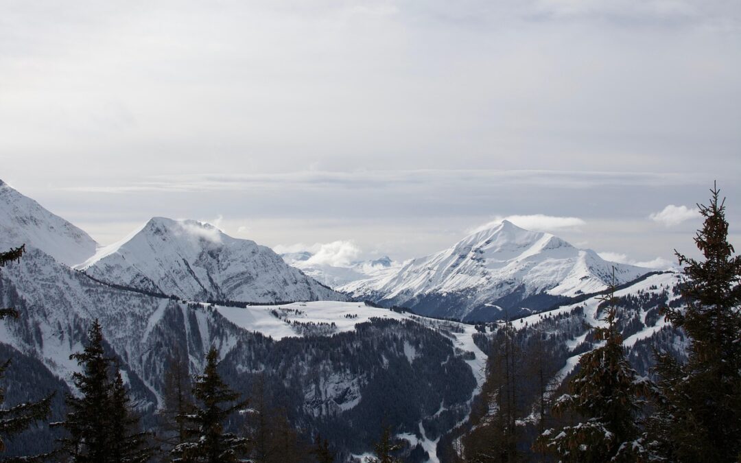 Steamboat Springs Backcountry Snowcat Adventures / Embark On An Unforgettable…