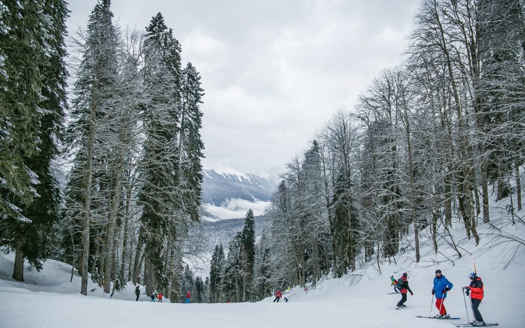 Steamboat Springs Night Snowcat Skiing | Unlocking The Untamed: A…