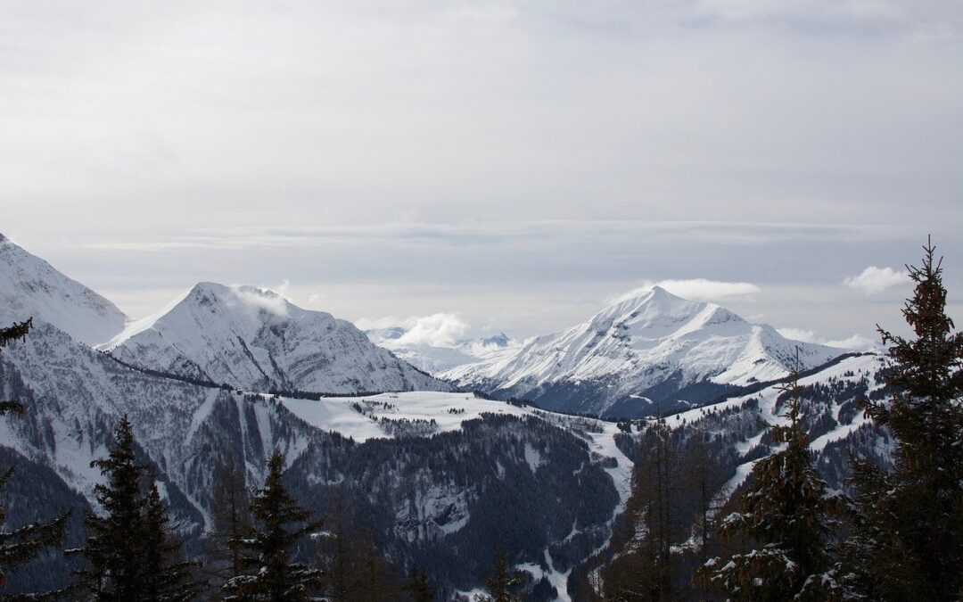 Steamboat Springs Powdercat Tours For Photographers ~ Capture Winter’s Magic:…