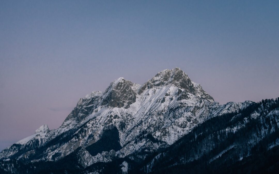 Steamboat Springs Powdercat Tours For Photographers / Capture The Untamed…