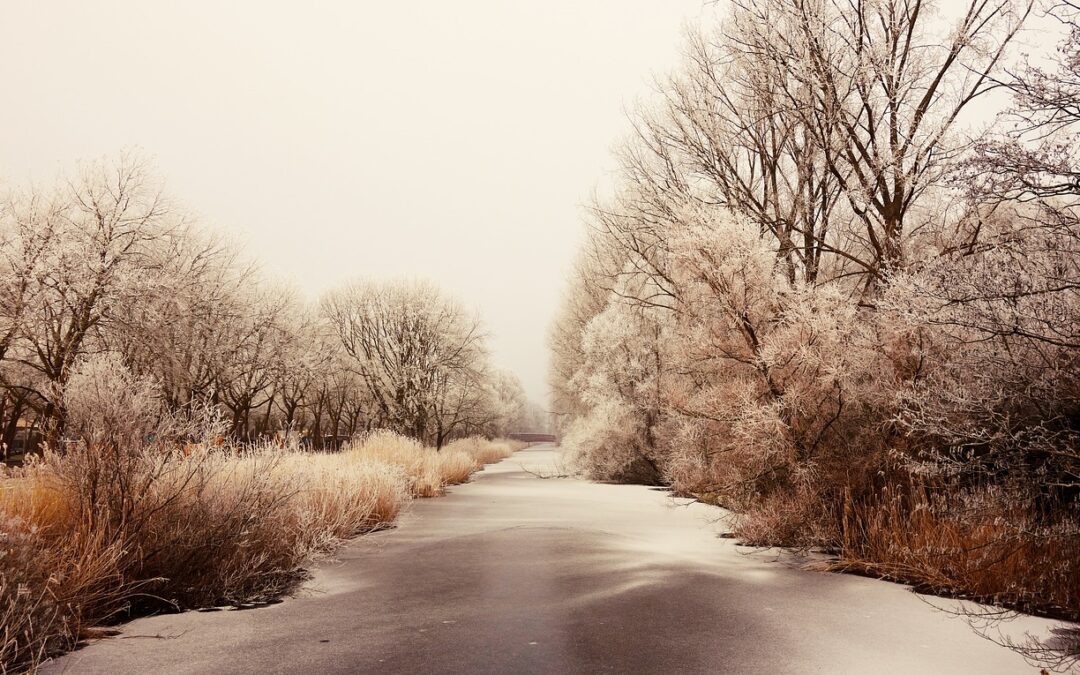 Steamboat Springs Powdercat Tours With Accommodation » Uncover The Winter…