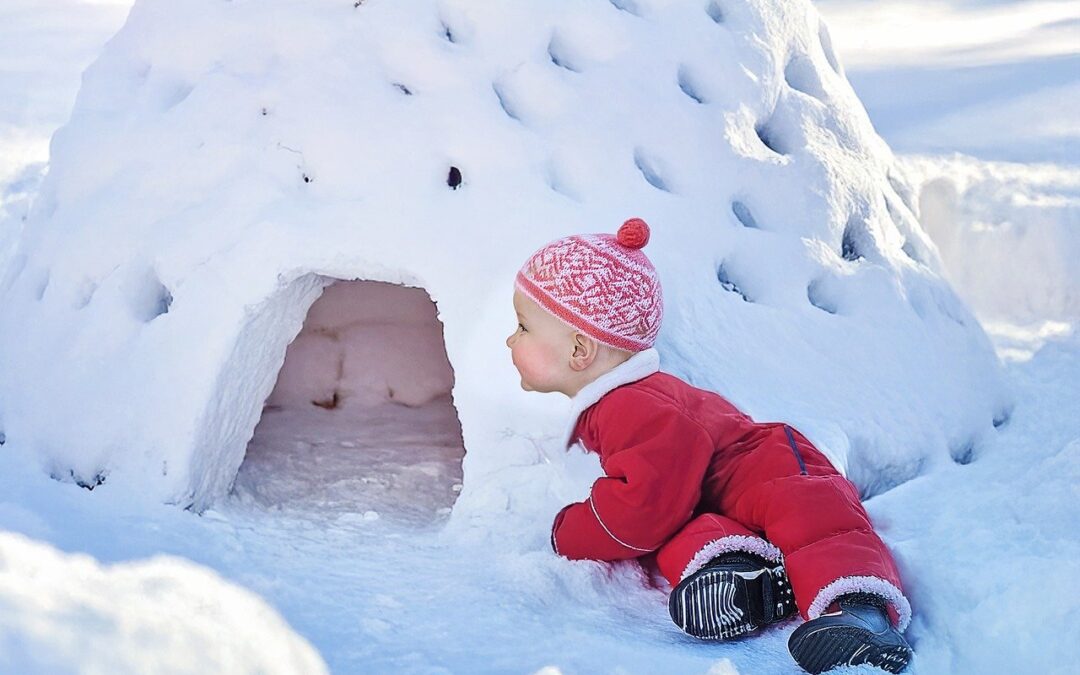 Steamboat Springs Snowcat Tours Availability | Powder Up For An…