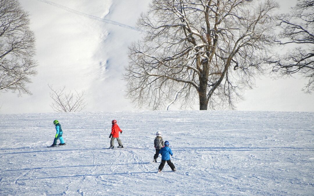 Steamboat Springs Snowcat Tours For Beginners / Embark On An…