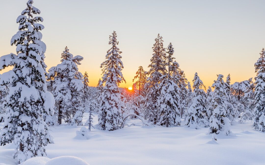 Steamboat Springs Winter Activities » Winter Wonderland In Steamboat Springs:…