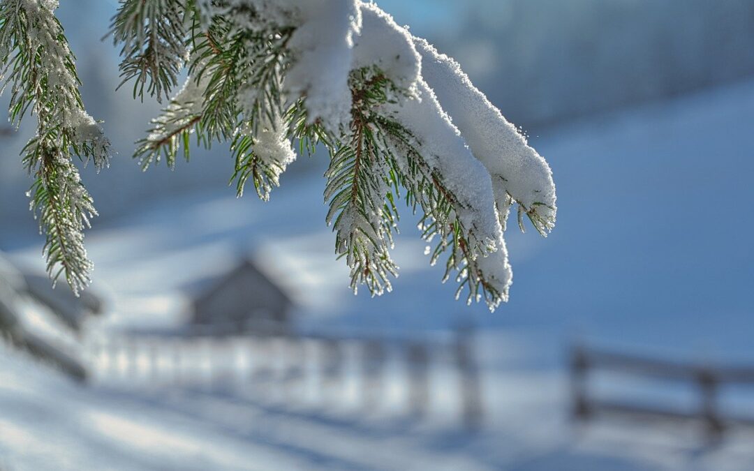 Steamboat Springs Winter Activities | Unleash Your Adventure: Discover Steamboat…