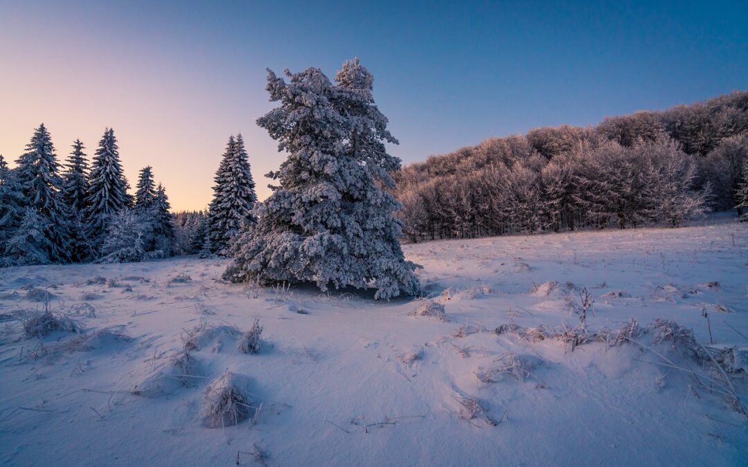 Steamboat Springs Winter Adventure Packages ~ Embark On An Unforgettable…