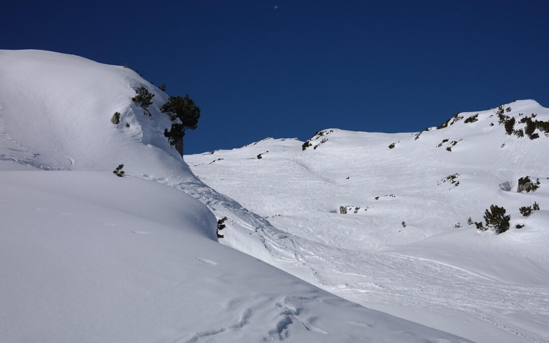 Steamboat Backcountry Skiing – Unveil The Powdered Paradise: Embark On…