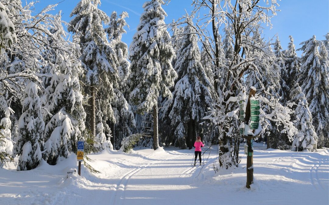 Steamboat Snowcat Skiing Guide » Welcome To The Unforgettable Snowcat…