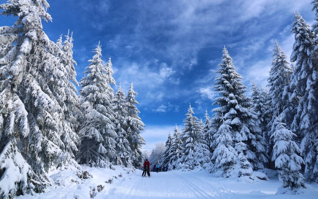 Best Time For Snowcat Skiing In Steamboat / Unleash Your…