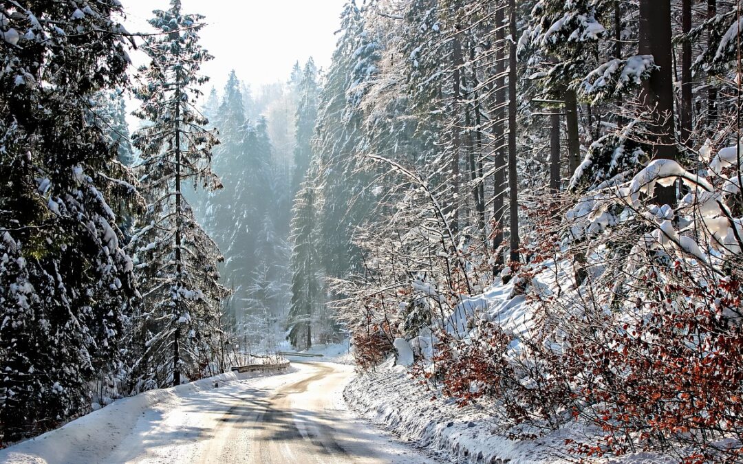 Eco-friendly Snowcat Tours Steamboat Springs / Explore The Untouched Powder:…