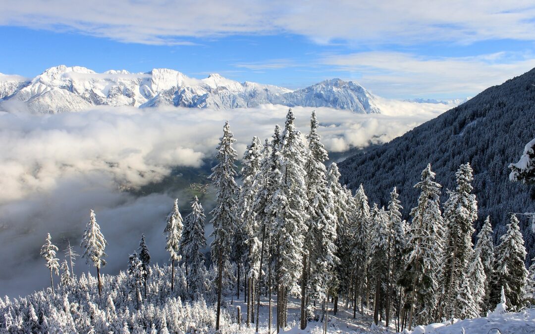 Private Snowcat Tours Steamboat » Embark On A Snowy Adventure:…