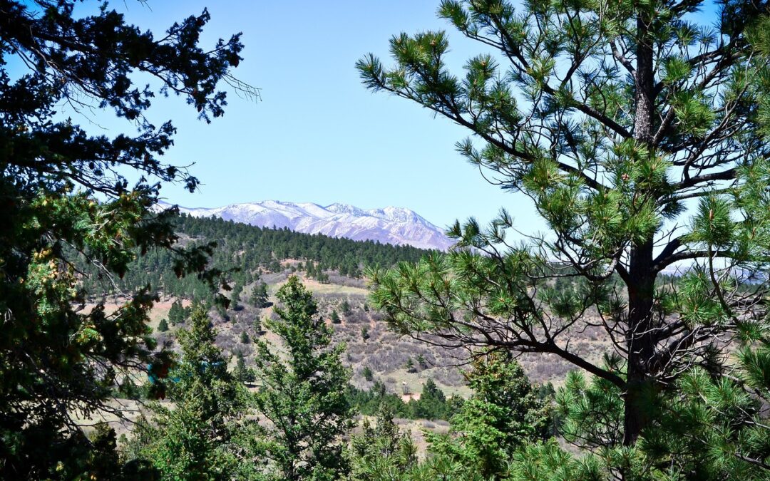 Snowcat Skiing Colorado Rockies: Experience The Thrill Of Snowcat Skiing…