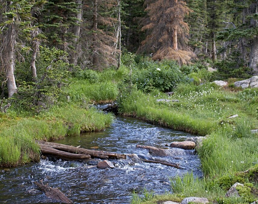 Snowcat Skiing Colorado Rockies | Escape To The Untouched Wilderness:…