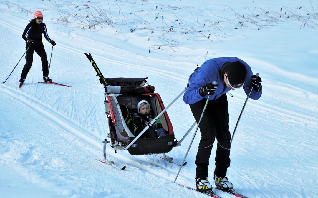 Snowcat Skiing Colorado | Powder Hounds, Get Ready To Roar!…