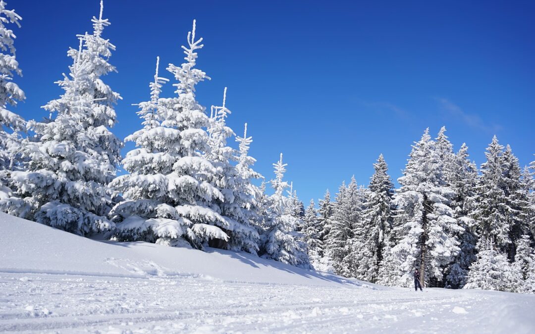 Snowcat Skiing Near Steamboat Springs / Glide Into A Snowcat…