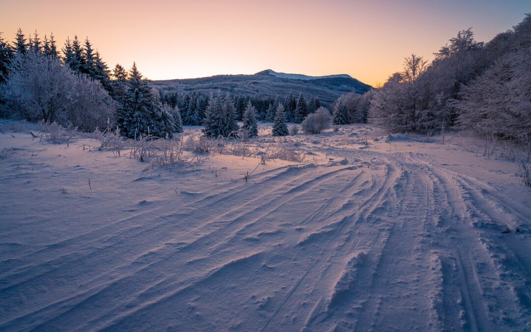 Steamboat Powdercats Reviews / Uncover The Thrilling Winter Adventure With…