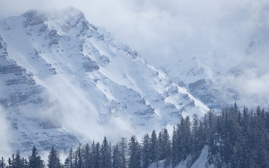 Steamboat Springs Guided Powdercat Tours: Unleash The Untamed Powder: Embark…