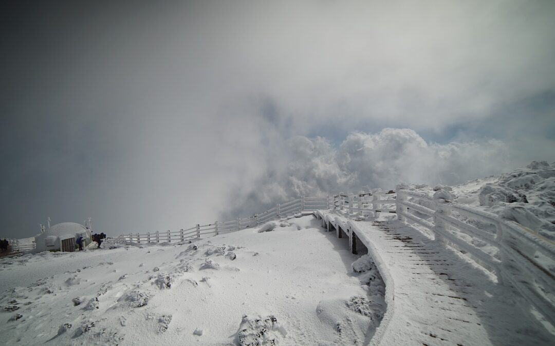 Steamboat Springs Guided Powdercat Tours » Escape To Walden’s Winter…