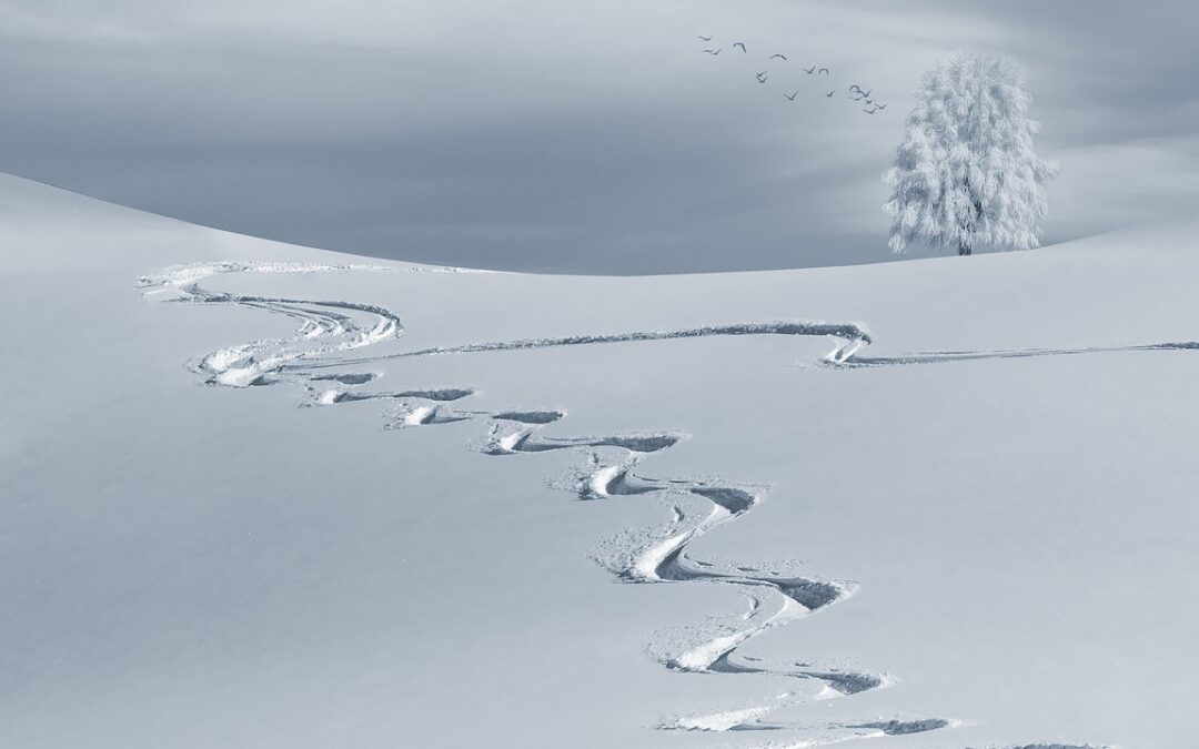 Steamboat Springs Night Snowcat Skiing / Experience The Magic Of…