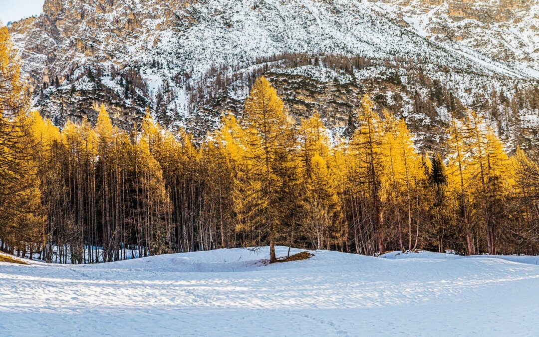 Steamboat Springs Powdercat Tours For Families | Embark On An…