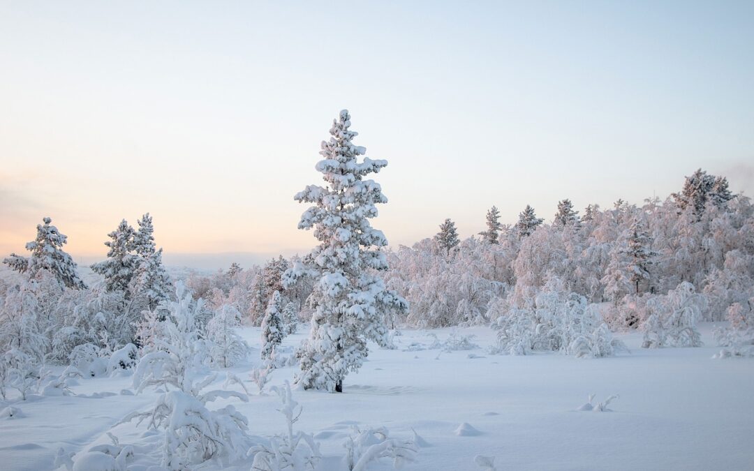 Steamboat Springs Winter Activities: Unveiling The Winter Wonderland Of Steamboat…