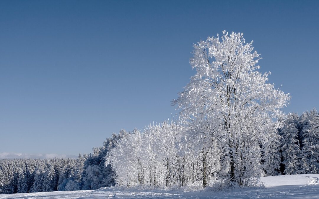 Steamboat Springs Winter Adventure Packages – Ready For A Mountain…